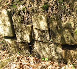 Murus Dacicus at Fetele Albe fortress