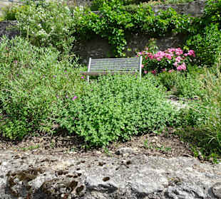 Unterwegs in den Terrassengärten Hollfeld