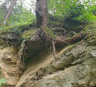 Gasteinertal