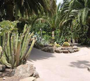 Palmitos Park - Gran Canaria - Maspalomas