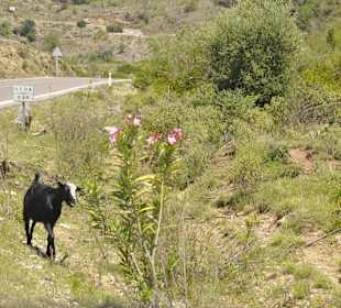 Unterwegs zum Taurusgebirge