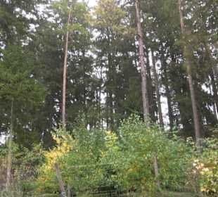 Erlebnisbauernhof und Wildgehege