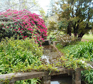 Palheiro Gardens