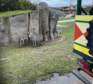 Wildlands Zoo in Emmen 