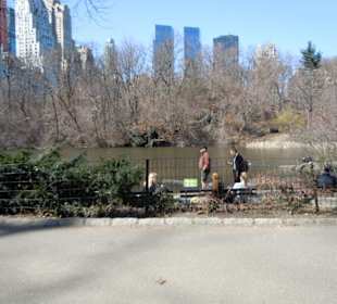       Central Park ,NYC