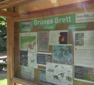 Grillplatz am Walddorfer Brückle Walddorf