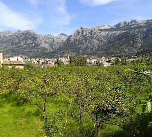 Aussicht Wanderung Deia-Soller3