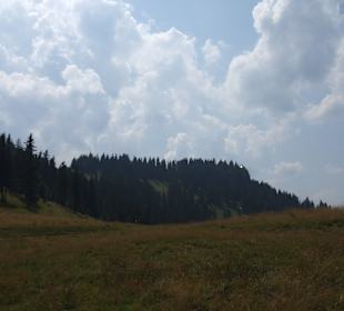 Parcul Natural Apuseni