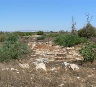 Blick in Richtung Küstenstraße