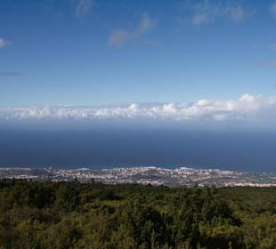 Herrliche Natur auf der Fahrt zum Teide