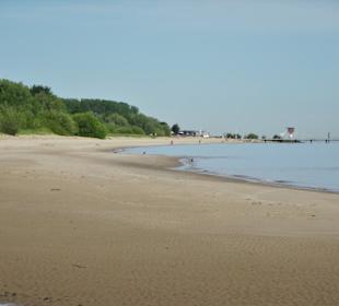 Am Strand der Insel Krautsand