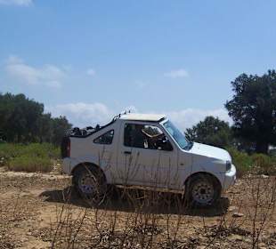 Einer der vielen Jeeps