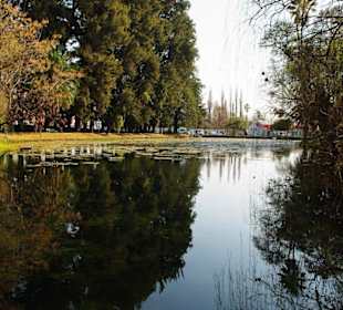 The Eye - unglaublich schön