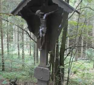 Wanderung zu wilden Bächen und hohen Wasserfällen