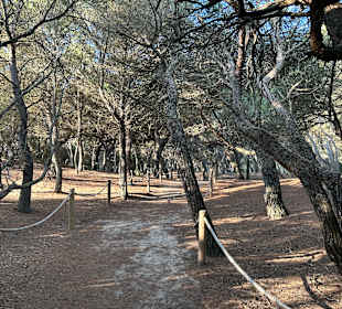 Wandern Can Picafort