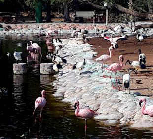 Al Areen Wildlife Park