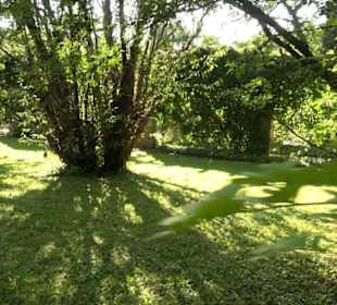 Botanischer Garten München