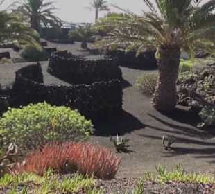 Fundacion Cesar Manrique