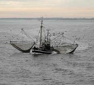 Krabbenfischer im Wattenmeer
