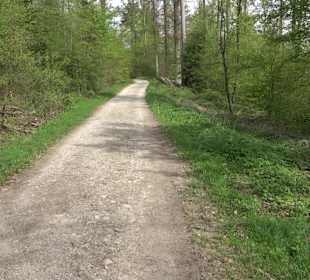 Walderlebnisweg Rottenburg