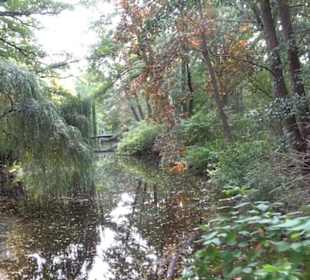 Großer Tiergarten