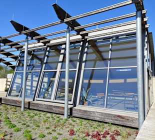 Die Sonnenfalle im Kurpark von Bad Bevensen