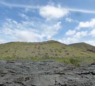 Im Hintergrund grüne Berge