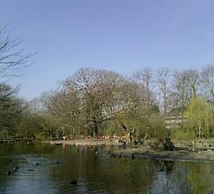 Traumwetter am Flamingoteich