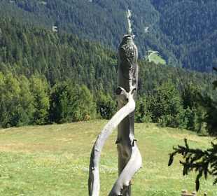 Wandern Bressanone / Brixen