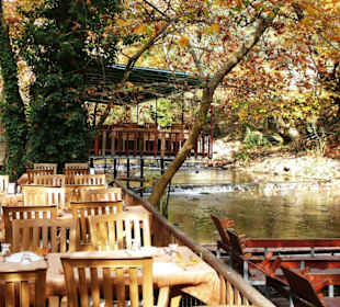 Außenanlage des Restaurants