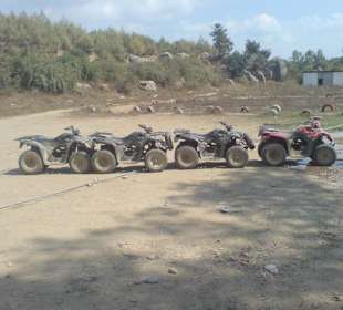 Quads