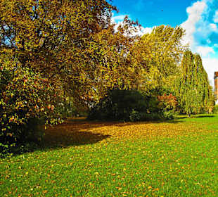 Парк Замка Ойтин.Золотая осень.