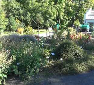 Botanischer Garten