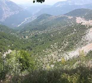 Ali's Ausflüge Avsallar