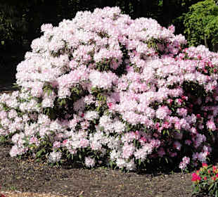 Impressionen vom Rundweg durch den Park