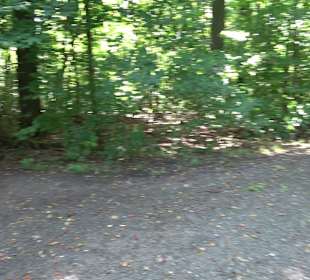 Sophienbrunnen von 1839 