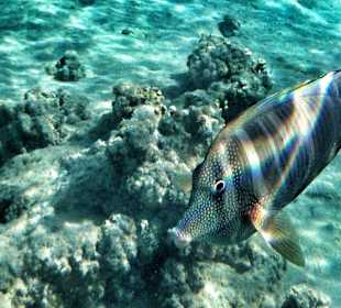 Mit dem iphone fotografiert