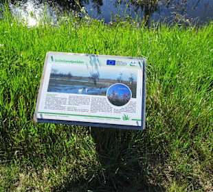 Infotafel am Weg