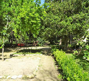 Rundgang durch den Botanischen Garten Cagliari