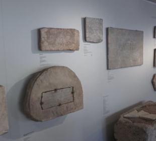 Rheinisches Landesmuseum