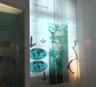 Entwicklung der Pflanzenwelt