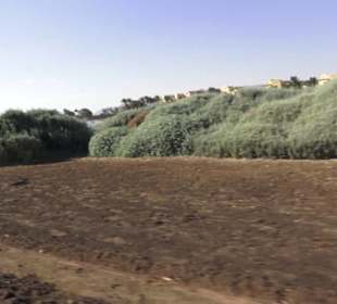 Stadtrundgang El Gouna