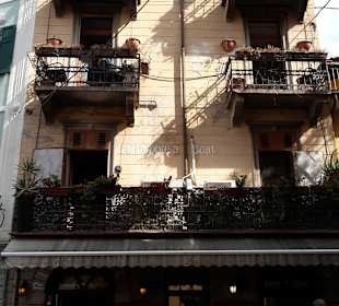 Ristorante La Cambusa , Macesine