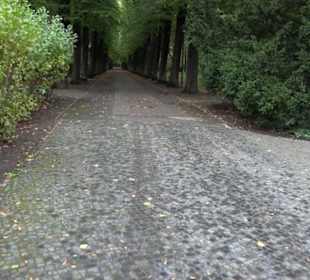 Schlosspark Biesdorf