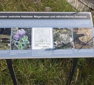 Botanischer Garten München