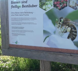 Wandern Leutkirch im Allgäu