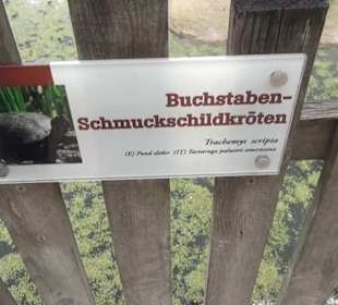 Südamerika Bereich - Jaguarhaus