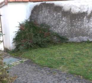 Friedhof Steingebronn