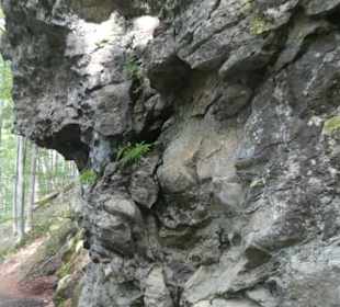 Wanderung zu wilden Bächen und hohen Wasserfällen