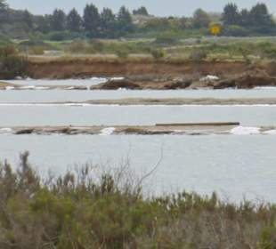 Bei den Salinen von Faro